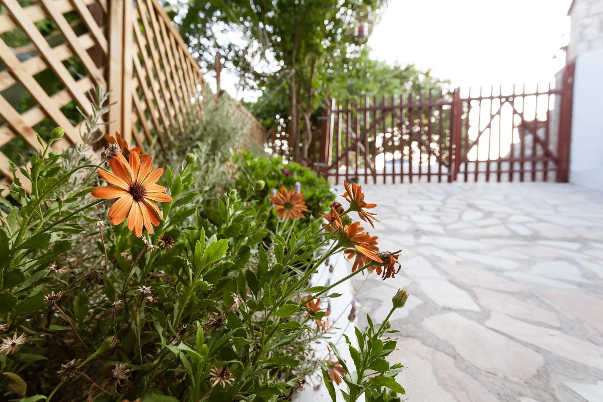 Serenity Studio For Couples Asgourou Exterior foto